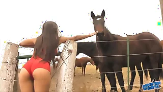 141 horse porn videos